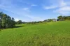 43 Hollings Close, Valla, NSW 2448-Image