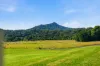 43 Hollings Close, Valla, NSW 2448-Image