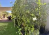 43 Julie Close, Peeramon, Qld 4885-Image