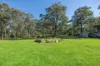 43 Stanley Street, Shanes Park, NSW 2747-Image