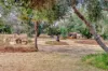 43 Tonkin Drive, North Yunderup, WA 6208-Image