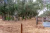 43 Tonkin Drive, North Yunderup, WA 6208-Image