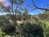 432 Crossman Road, Boddington, WA 6390-Image