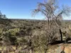 432 Crossman Road, Boddington, WA 6390-Image