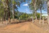 435 Teddington Road, Tinana South, Qld 4650-Image