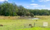 436 Careys Road, Hillville, NSW 2430-Image