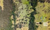 436 Careys Road, Hillville, NSW 2430-Image