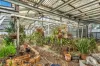 436 Main North Road, Evanston Park, SA 5116-Image