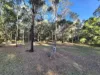44 Gilliland Crescent, Blackbutt North, Qld 4314-Image