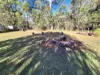 44 Gilliland Crescent, Blackbutt North, Qld 4314-Image