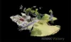 44 Timbergrove Road, Elimbah, Qld 4516-Image