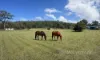 44 Timbergrove Road, Elimbah, Qld 4516-Image