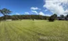 44 Timbergrove Road, Elimbah, Qld 4516-Image