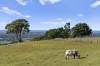44 Winchelsea Way, Terranora, NSW 2486-Image