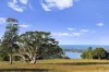 44 Winchelsea Way, Terranora, NSW 2486-Image
