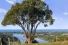 44 Winchelsea Way, Terranora, NSW 2486-Image