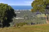 44 Winchelsea Way, Terranora, NSW 2486-Image