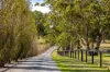 444 Hawthorn Road, Echunga, SA 5153-Image