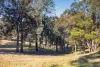 445 Commonyard Road, Newry, Vic 3859-Image