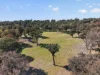 445 Commonyard Road, Newry, Vic 3859-Image