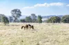 445 Old Tolmie Road, Barwite, Vic 3722-Image