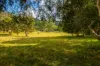 445 Oyster Shell Road, Lower Mangrove, NSW 2250-Image