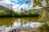 445 Oyster Shell Road, Lower Mangrove, NSW 2250-Image