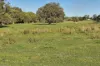 446 Gingin Brook Road, Muckenburra, WA 6503-Image