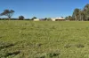 446 Gingin Brook Road, Muckenburra, WA 6503-Image
