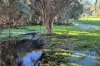 446 Gingin Brook Road, Muckenburra, WA 6503-Image
