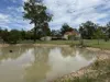 449 Nanango Brooklands Road, Nanango, Qld 4615-Image