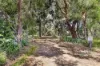 45 Arbuthnots Road, Tarwin Lower, Vic 3956-Image