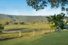 45 Biddaddaba Road, Boyland, Qld 4275-Image