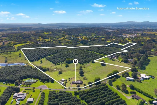 45 Connor Road, Tregeagle, NSW 2480
