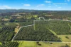 45 Connor Road, Tregeagle, NSW 2480-Image
