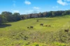 45 Connor Road, Tregeagle, NSW 2480-Image