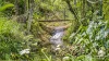 45 Geles Road, Upper Burringbar, NSW 2483-Image