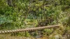 45 Geles Road, Upper Burringbar, NSW 2483-Image