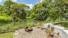 45 Geles Road, Upper Burringbar, NSW 2483-Image