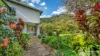 45 Geles Road, Upper Burringbar, NSW 2483-Image
