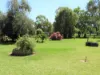 45 Hilton Lane, Warren, NSW 2824-Image