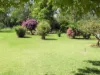 45 Hilton Lane, Warren, NSW 2824-Image