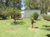 45 Hilton Lane, Warren, NSW 2824-Image