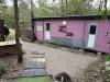 45 Lelona Drive, Bloomsbury, Qld 4799-Image