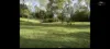 45 Lelona Drive, Bloomsbury, Qld 4799-Image