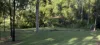 45 Lelona Drive, Bloomsbury, Qld 4799-Image