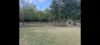 45 Lelona Drive, Bloomsbury, Qld 4799-Image