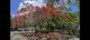 45 Lelona Drive, Bloomsbury, Qld 4799-Image