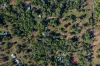 45 Lelona Drive, Bloomsbury, Qld 4799-Image