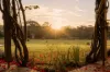 45 Marawah Street, Burbank, Qld 4156-Image